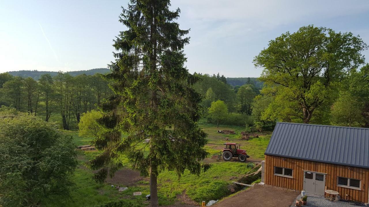 Bed and Breakfast Au-Magasin Vielsalm Exteriér fotografie