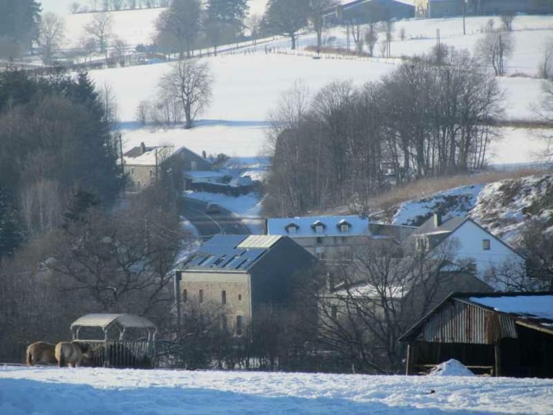 Bed and Breakfast Au-Magasin Vielsalm Exteriér fotografie